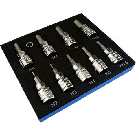 3/8" Dr Drive 2-10 mm, jeu de manchons 9 pièces T20-T25-T27-T30-T40-T45-T50-T55-T60 - Matériaux durables de qualité - Plateau de rangement - Boîtier compact (1/5)