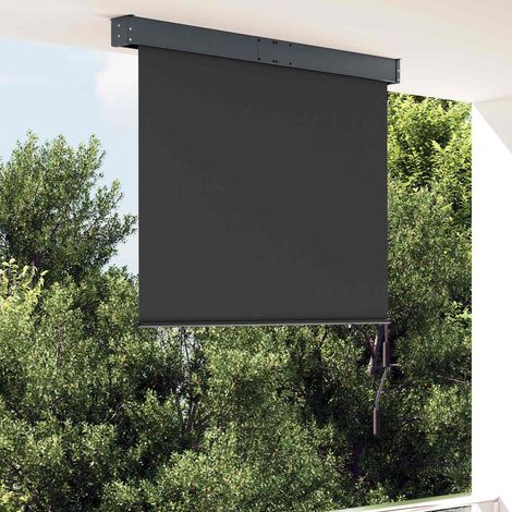 vidaXL Tenda a Rullo per Esterni 120x250 cm Antracite