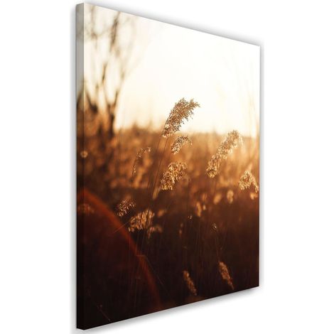 Tableau sur toile Prairie Soleil Nature Beige 40x60 (1/5)