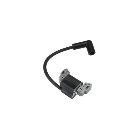 Jeu de bobines d'allumage Pièces détachées avec bouchon pour Briggs & Stratton 799582 798534 593872 595009 596532 Moteurs (1/5)