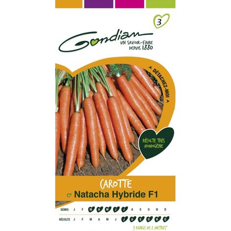 Gondian - Carotte Natacha Hybride F1