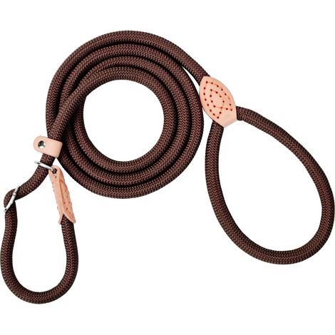 Laisse pour chien avec stoppeur de traction, 180 cm, avec collier, résistante aux intempéries, réglable, pour petits et grands chiens, café (1/5)