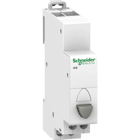 Modularer Taster 20A 1R grau iBP A9E18030 (1/2)