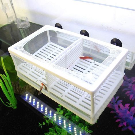 Auswahlnetz-Set, Kunststoffrahmen, feines Netz für Aquarien, Schutz für Jungfische und Garnelen (1/5)