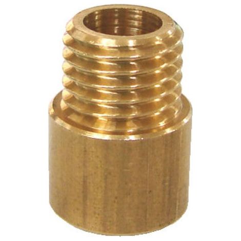 Centrale Brico – Lot de 2 raccords laiton femelle 10x1 et mâle 11mm – Raccord pour montage de luminaires – Pour culots 10mm et 10x1
