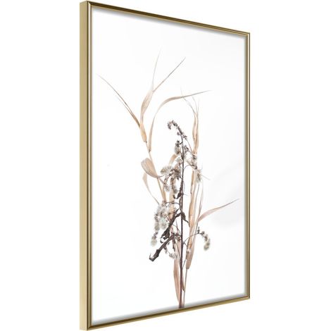Affiche Murale Encadrée "Found on the Field" 21 x 30 cm Or