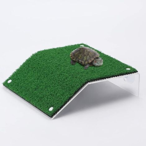 Sonnenplattform für Schildkröten, realistische Kletterleiter für kleine Reptilien, L20 x B21 cm (1/4)