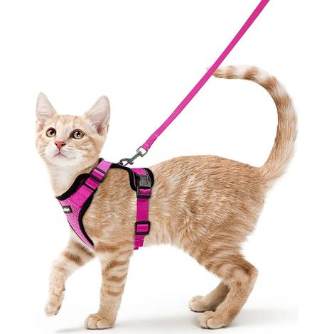 rabbitgoo Anti Escape Cat Harness with Leash Grass Green XS, Adjustable Kitten Harness for Small Dogs, Reflective Cat Leash and Bow Tie , Breathable Vest for Puppy Rabbit (1/5)