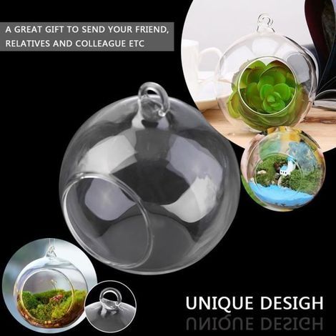 Lot de 6 Vase Suspendu de Verre Boule Pour Fleur Décoration Pots à suspendre Air Plante Terrariums de Jardin Maison Mariage (1/4)