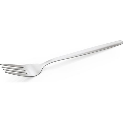 Fourchette de table 18,8 cm NP 80 ECO - Was Germany