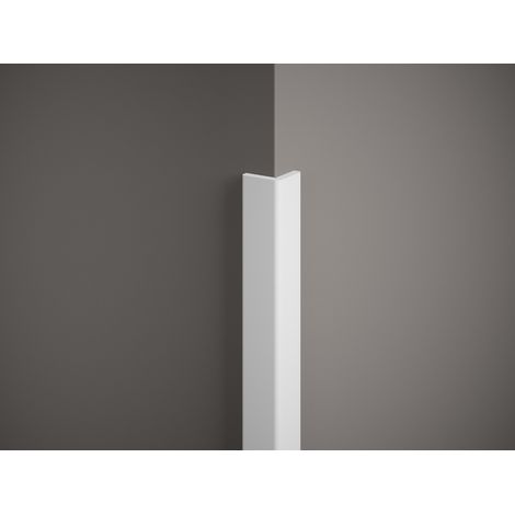 Bande d'angle en polymère – D1ML161C (1/2)