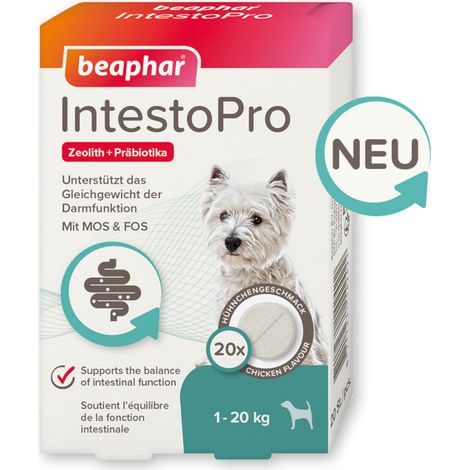 Beaphar IntestoPro Tabs für kleine Hunde - Unterstützt das Gleichgewicht der Darmfunktion - 20 Stück (1/4)