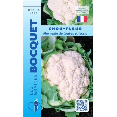 Chou fleur merveille de toutes saisons - 1g