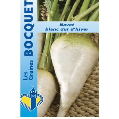 Navet 'Blanc dur d'hiver' le sachet de 2000 graines (5g) (1/2)