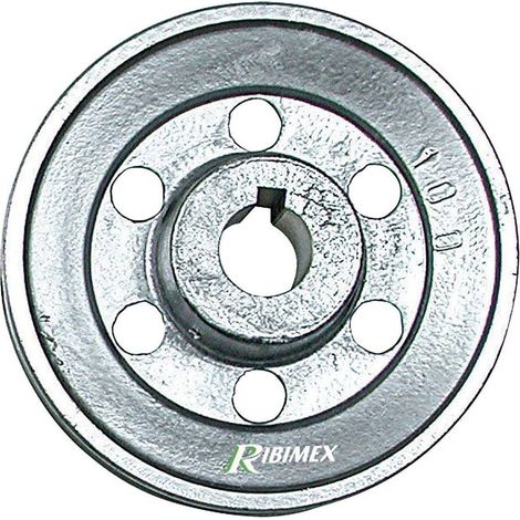 PULEGGIA PER MOTORE 1 gola - Ø 100 - asse 19 mm