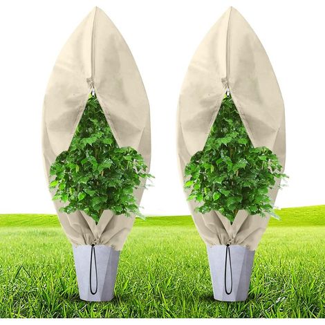 Housse D'hivernage pour Plante, 140 x 200 cm Housse de Protection pour Plantes Ajustable avec Cordon de Serrage à Glissière, Anti-Givre Réutilisable Sac de Protection des Plantes (Beige) (1/5)