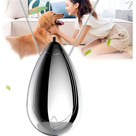 Purificateur d'air portable, collier personnel rechargeable, Argenté Mini ioniseur d'air, Élimine pollen, fumée, poussière, Pour extérieur et voyages (1/5)