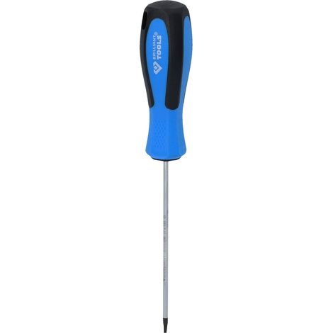 BRILLIANT TOOLS Destornillador TORX T8 x 100 mm BT031039