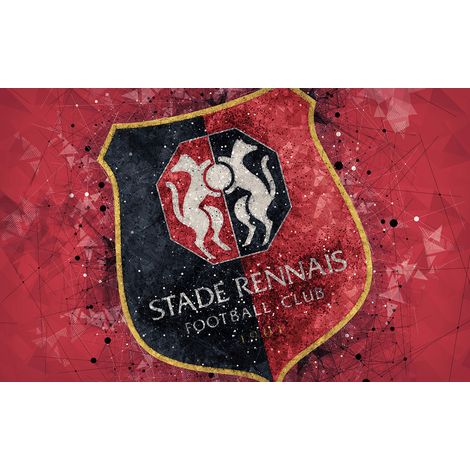Papier peint panoramique Foot / Football - Stade Rennais - 130 cm x 81 cm (1/2)