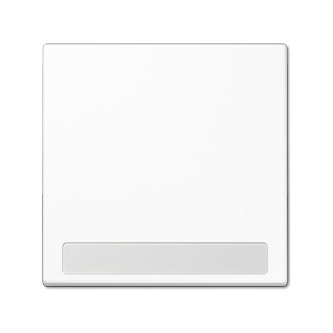Plaque de finition Jung ls 990 na ww plastique blanc 10 cm