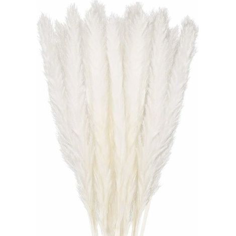 30 pcs Herbe de la Pampa, 45 cm Naturel Pampa Fleur Bouquet de Fleurs Sechees pour Vases, Blanc Boho Decoration Chambre Maison Salon, Mariage Photographier Table Décoration (1/4)