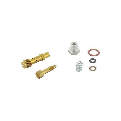 Kit Vis Richesse BRIGGS et STRATTON 396795 - 391233