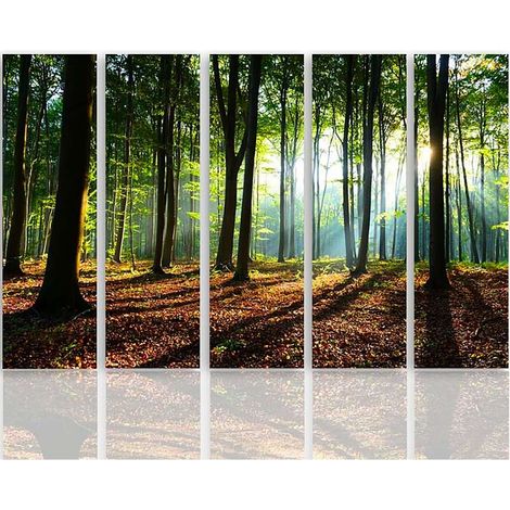 Tableau les rayons du soleil dans la forêt - 250 x 120 cm (1/5)