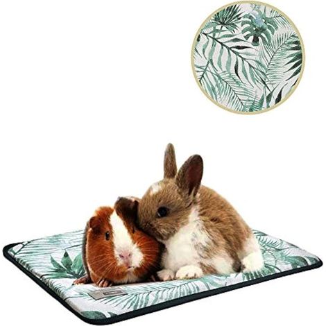 Lit pour petits animaux pour animaux de compagnie d'été, coussin frais de cochon d'Inde jouant tapis de chat tapis de chiot pour furet cochon écureuil lapin Chinchilla (1/5)
