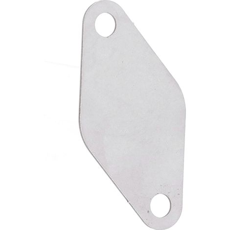 Plaque d'obturation EGR en acier inoxydable, remplacement pour Nissan Patrol/Pathfinder ZD30 (1/5)