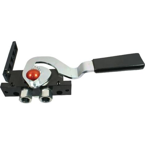 Multifaster DN10-2 x 1/2" BSPP parte fija hembra FASTER 2PB06212GFC (1/3)