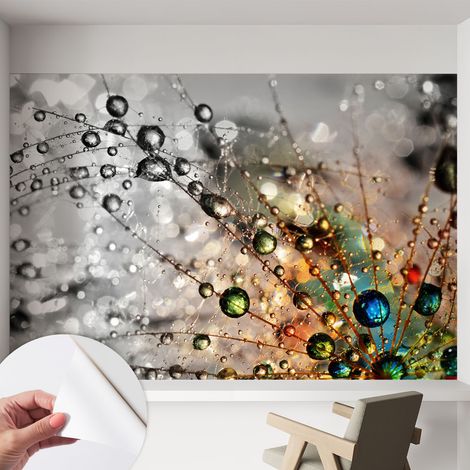 Papier peint adhésif décoratif pour salon chambre et cuisine Facile à poser avec colle Perles de rosée 152x104 cm (1/5)