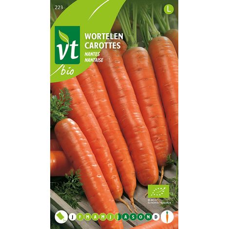 Bio Carottes Nantaise - Ca. 4 gr (Livraison Gratuite) (1/2)