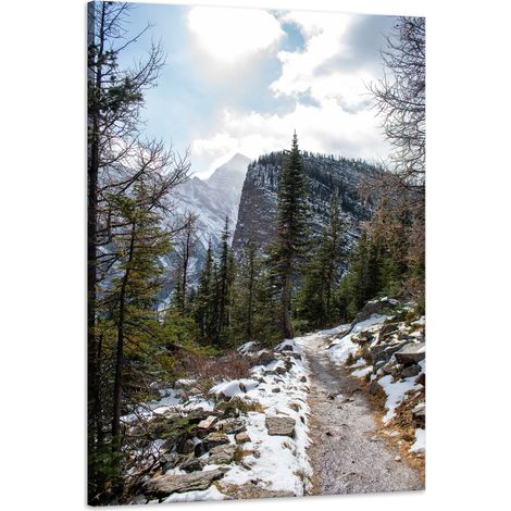 Leinwanddruck Natur Bergpfad Schnee 60x90