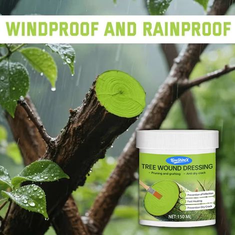 KineShineX Tree Treatment for Fruit Trees, Bonsai Trees, Branches, Prunings, Stumps, Grafting Cuts, and Healing Agent (1/4)