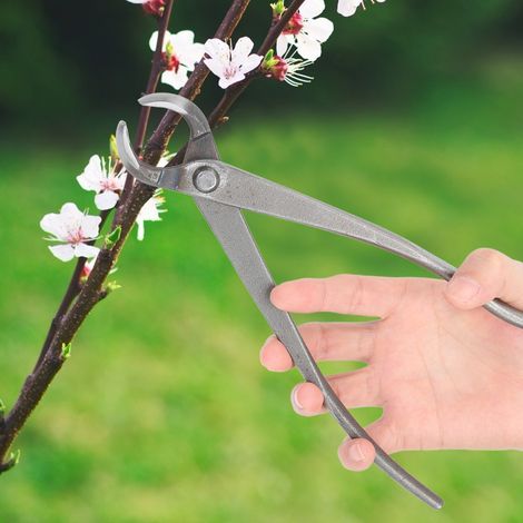 Ciseaux de jardin multifonctions en acier au carbone à long manche, outil de taille pour bonsaï (1/5)