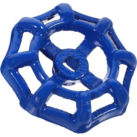 Poignée de Vanne D'eau en Fer Bleu Prise (1/5)