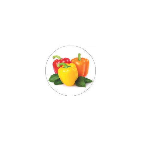 Magneti piatti per verdure da frigo (1/2)