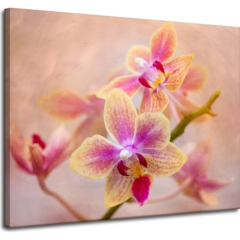 Leinwanddruck Botanik Blume Orchidee 100x80 cm