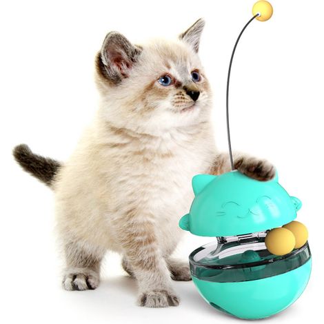 Jouet interactif pour chat, balle de nourriture pour chat, jouet pour chaton