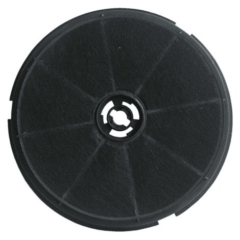 FILTRE CHARBON (190X35MM) pour HOTTE ROBLIN - 2482954 (1/2)