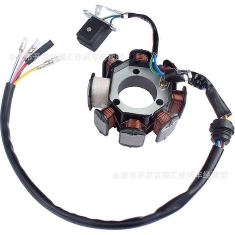 Compatible avec les pièces de motos d'Asie du Sud-Est, compatible avec le stator de bobine d'allumage 8 pôles TMX 125 9119-067 (1/5)