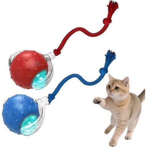 Balle interactive pour petits animaux de compagnie (1/5)