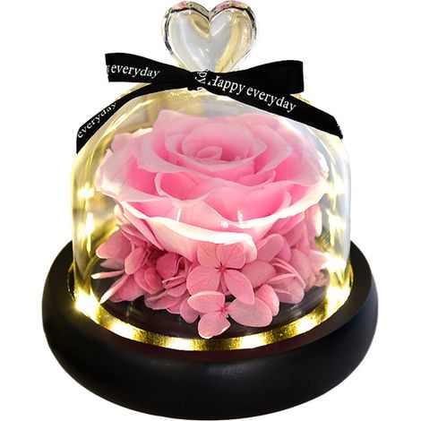 Sous la cloche de verre, les fleurs ne se faneront jamais, un cadeau de Noël pour les amoureux et les amis. (1/5)