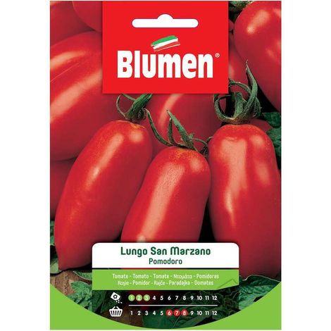 SEMI POMODORO LUNGO SAN MARZANO