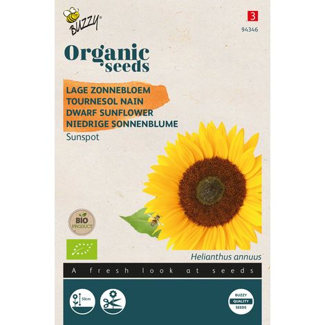 Buzzy Organic Tournesol nain Sunspot- Bio Semences - Ca. 3 gr (1/2)