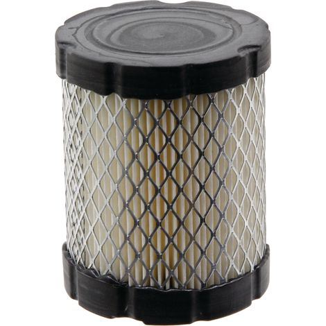 BRIGGS STRATTON Luftfilter 591583, 796032