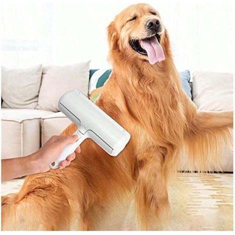 Brosse d'épilation réutilisable pour animaux de compagnie, élimine les poils de chien/chat des vêtements/canapé/voiture/lit/tapis. (1/5)