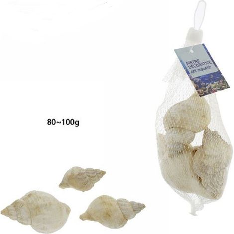 TrAdE Shop Traesio - Sacchetto Da 80 - 100 Gr Conchiglie Di Mare Decorazione Ornamento Acquario 70285 -