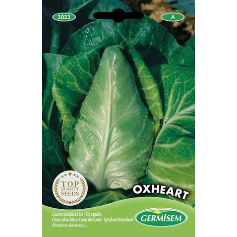 graines Chou Coeur de Boeuf OXHEART