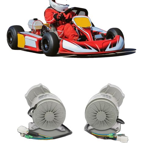 Motore brushless con riduttore di velocità, potenza 350W, utilizzo versatile per veicoli elettrici, 0 (1/5)